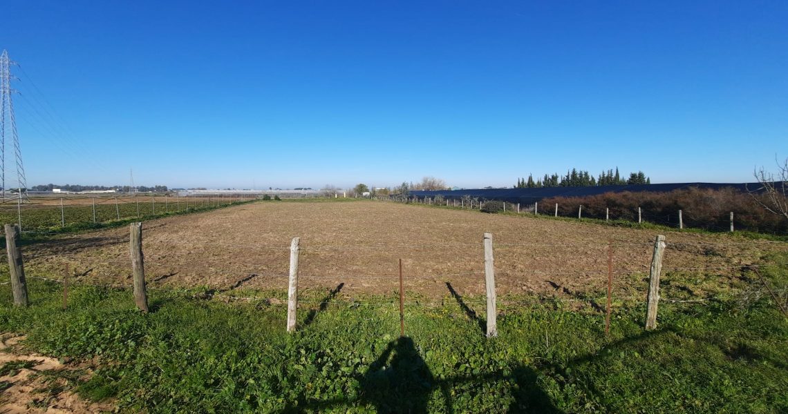 IMG-20210218-WA0001