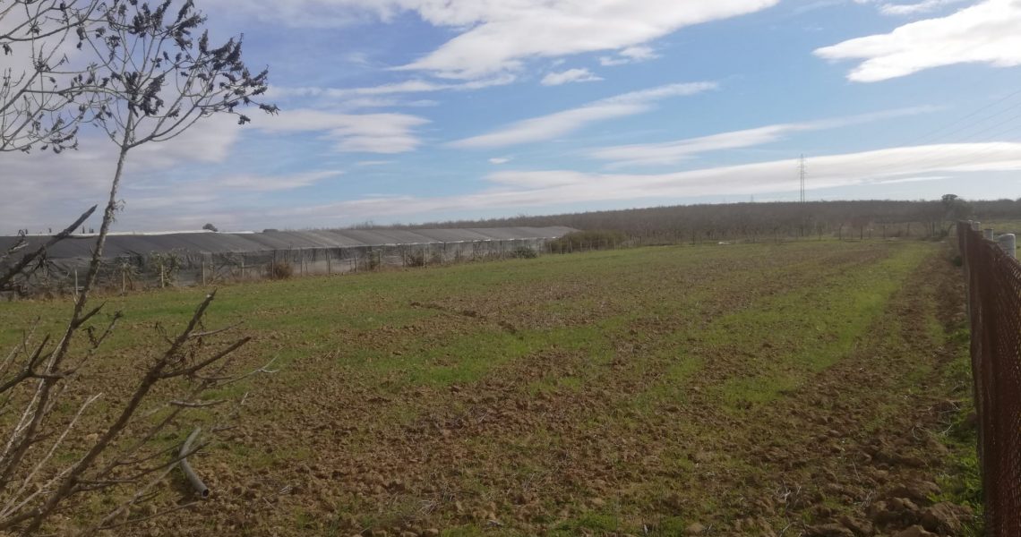 IMG-20210218-WA0004