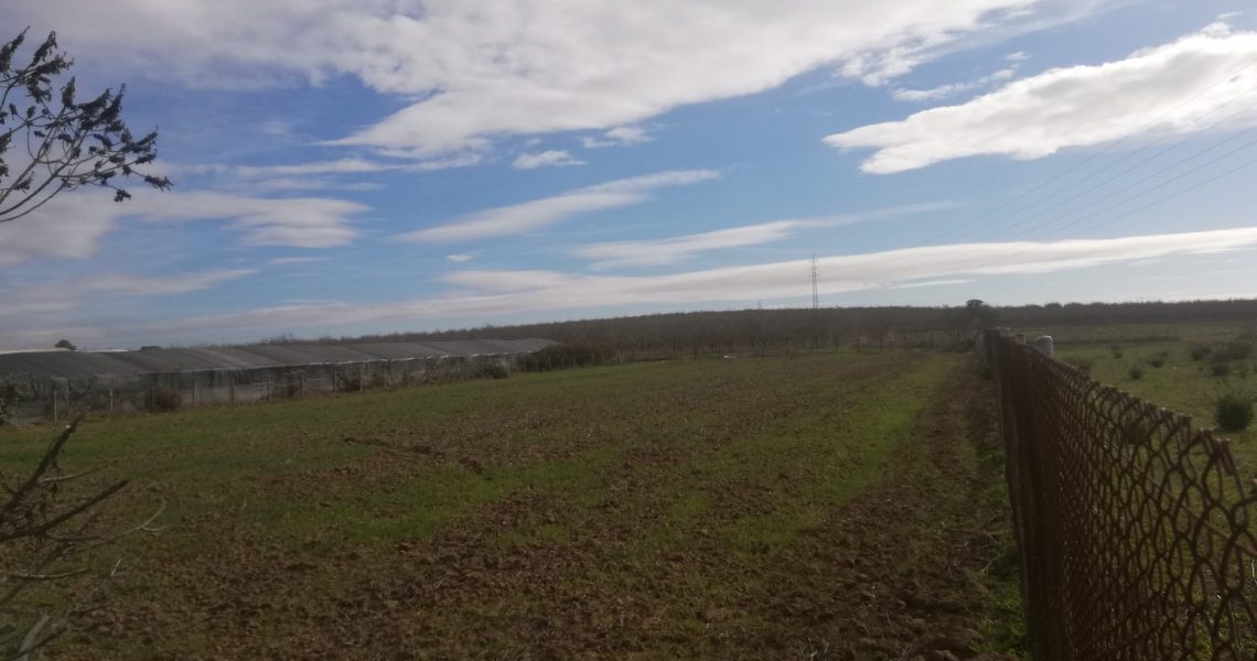 IMG-20210218-WA0008